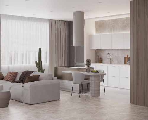 ������������ Laparet Obsidian Grey ������� 60x60 ���� 2